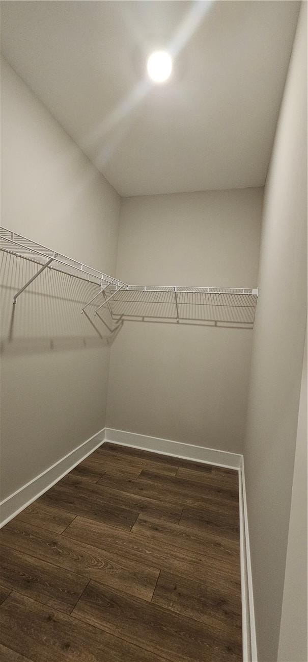 spacious closet with dark wood-style floors