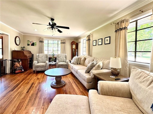 living area featuring light wood-style floors, ceiling fan, and ornamental molding