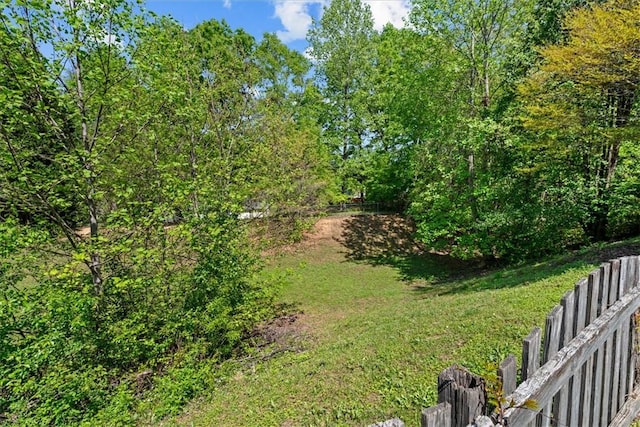 105 Tripmont Ct, Simpsonville, SC 29680 - view of yard