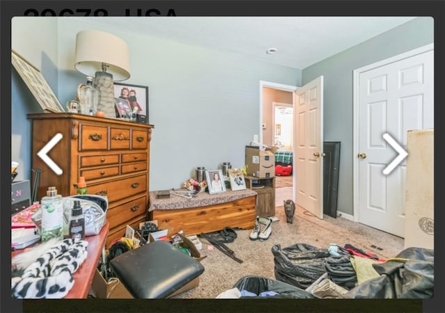 bedroom featuring carpet
