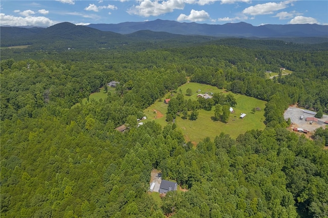 131 Tompkins Hill Ln, Pickens, SC 29671 - photo 34