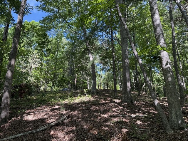 601 Wind Flower Dr, Sunset, SC 29685