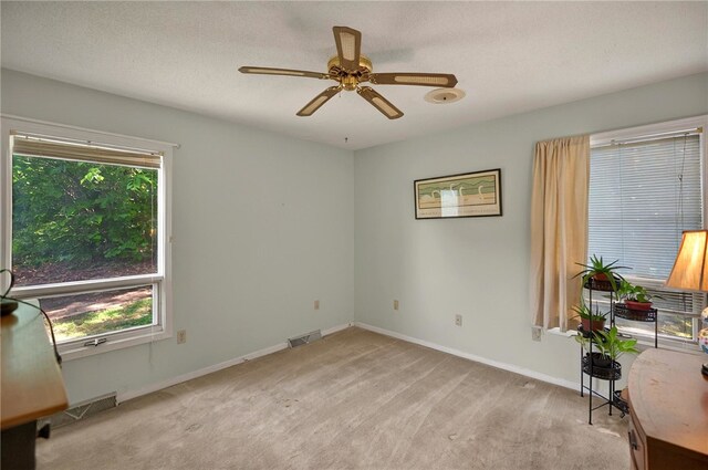 305 Edgewater Dr, Anderson, SC 29626 - photo 19