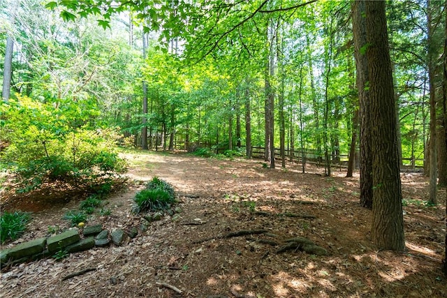 100 Berkeley Ct, Clemson, SC 29631 - view of woods