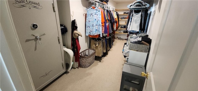 100 Berkeley Ct, Clemson, SC 29631 - walk in closet with carpet
