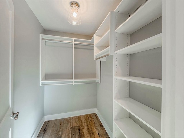 324 Code Cir, Seneca, SC 29678 - walk in closet featuring wood finished floors