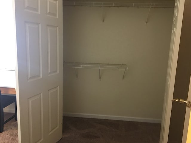 view of closet