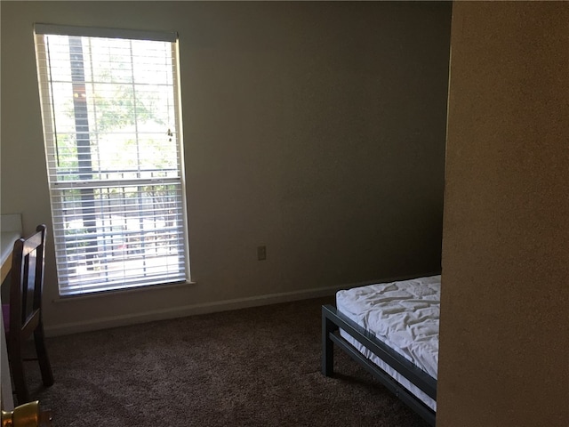 bedroom with carpet floors, multiple windows, and baseboards
