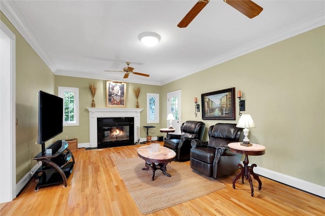 living room featuring a ceiling fan, crown molding, light wood finished floors, and a fireplace with flush hearth