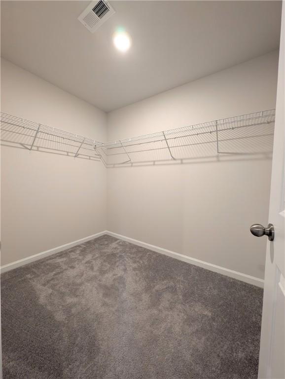 walk in closet with carpet flooring