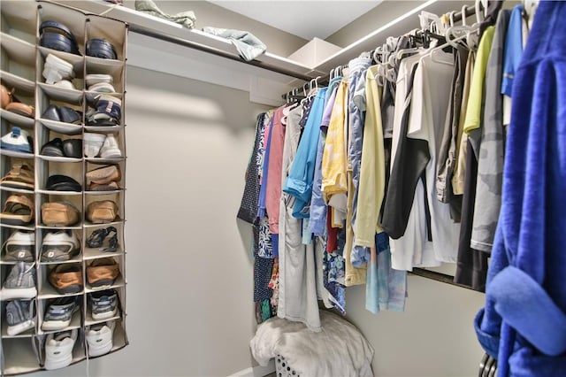 32 Par Harbor Way, Salem, SC 29676 - view of spacious closet