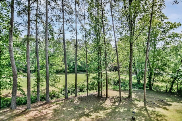 32 Par Harbor Way, Salem, SC 29676 - view of nature