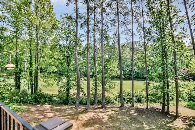 32 Par Harbor Way, Salem, SC 29676 - view of yard