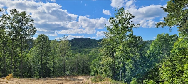 343 Butts Farm Rd, Westminster, SC 29693 - photo 2
