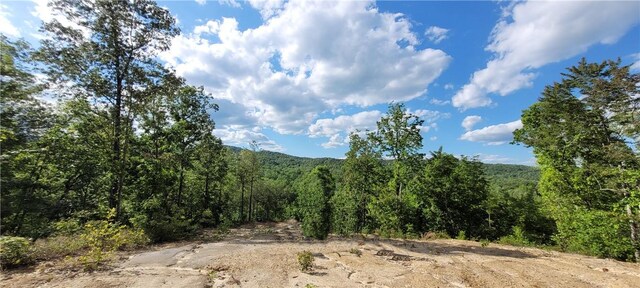 343 Butts Farm Rd, Westminster, SC 29693 - photo 4