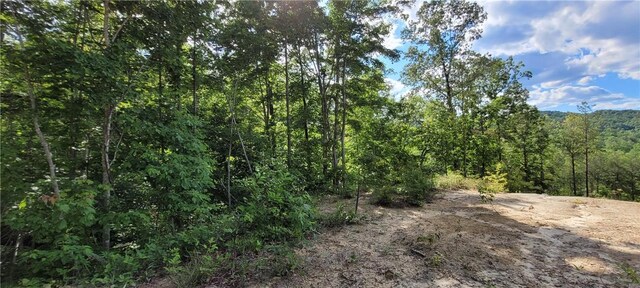 343 Butts Farm Rd, Westminster, SC 29693 - photo 5