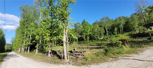343 Butts Farm Rd, Westminster, SC 29693 - photo 32