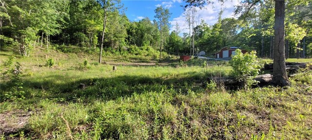 343 Butts Farm Rd, Westminster, SC 29693 - photo 33