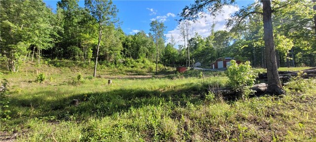 343 Butts Farm Rd, Westminster, SC 29693 - photo 34