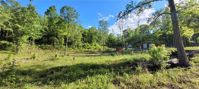 343 Butts Farm Rd, Westminster, SC 29693 - photo 35