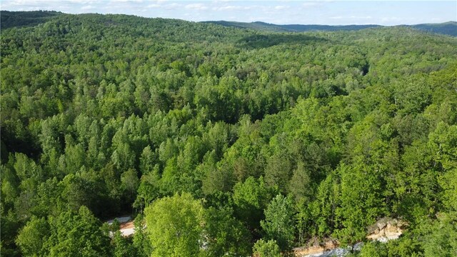 343 Butts Farm Rd, Westminster, SC 29693 - photo 36