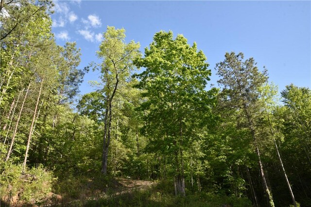 343 Butts Farm Rd, Westminster, SC 29693 - photo 44