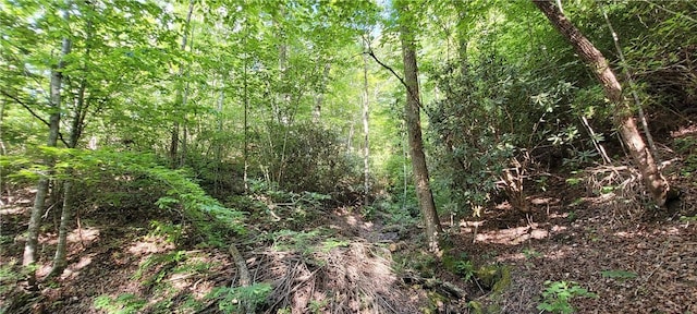 343 Butts Farm Rd, Westminster, SC 29693 - photo 19