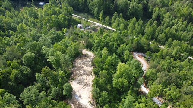 343 Butts Farm Rd, Westminster, SC 29693 - photo 20
