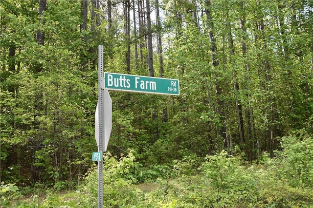 343 Butts Farm Rd, Westminster, SC 29693 - photo 28