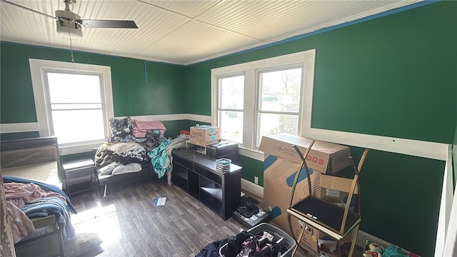bedroom with multiple windows and wood finished floors