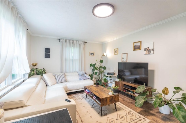 living area with wood finished floors and crown molding