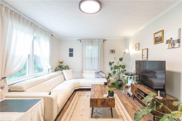 living area featuring crown molding and wood finished floors