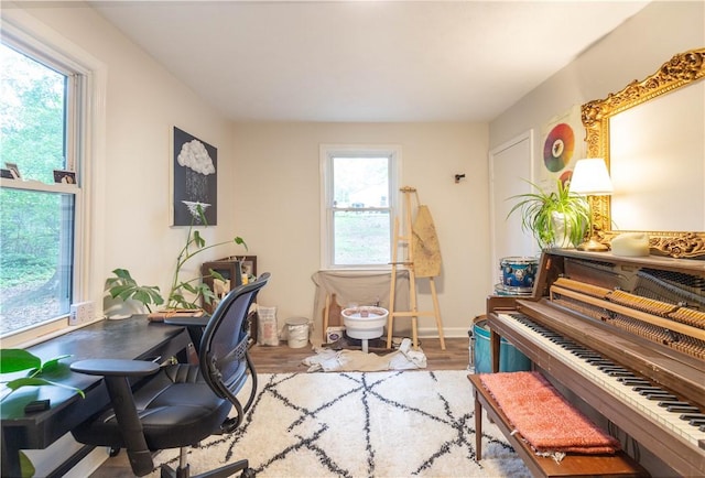 office area featuring plenty of natural light and wood finished floors