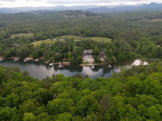 260 Eastatoe Pkwy, Sunset, SC 29685 - photo 4