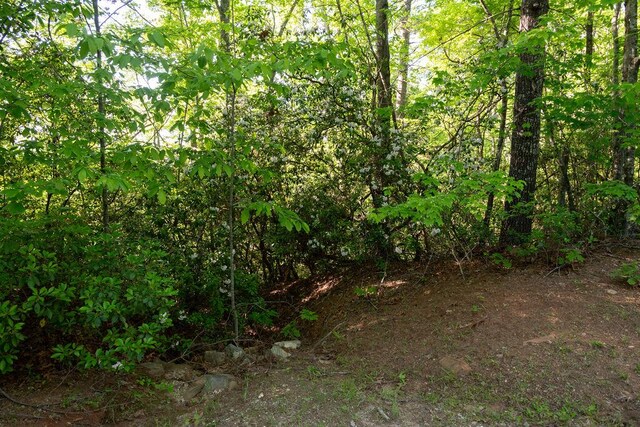 260 Eastatoe Pkwy, Sunset, SC 29685 - photo 9