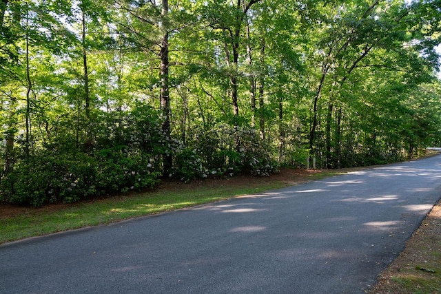 260 Eastatoe Pkwy, Sunset, SC 29685 - photo 10