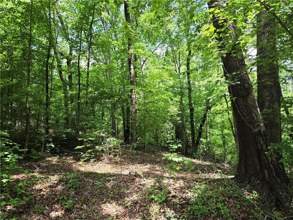 00 Ross Dr, Starr, SC 29684 - photo 1