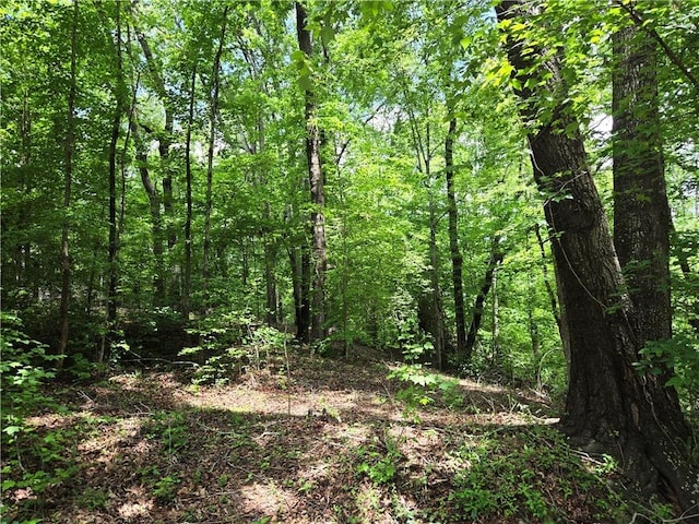 00 Ross Dr, Starr, SC 29684 - photo 1