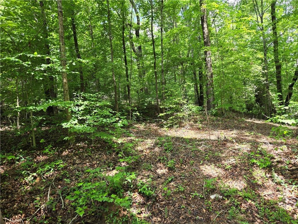 00 Ross Dr, Starr, SC 29684 - photo 2