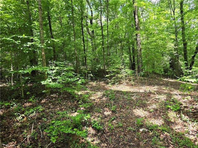 00 Ross Dr, Starr, SC 29684 - photo 2