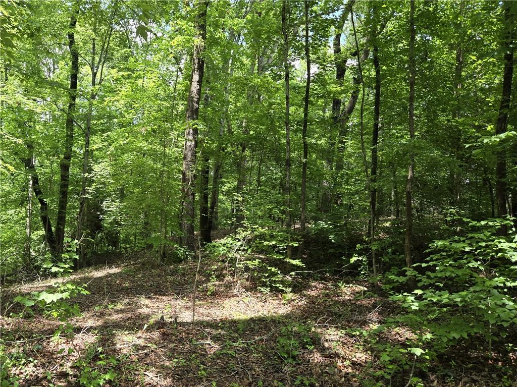 00 Ross Dr, Starr, SC 29684 - photo 3