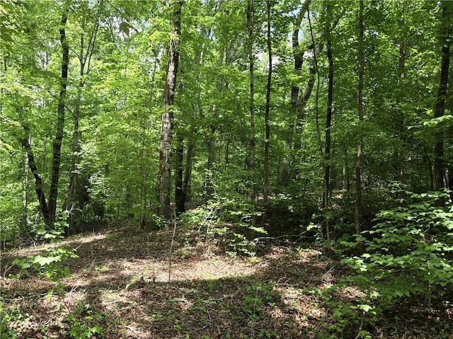 00 Ross Dr, Starr, SC 29684 - photo 3