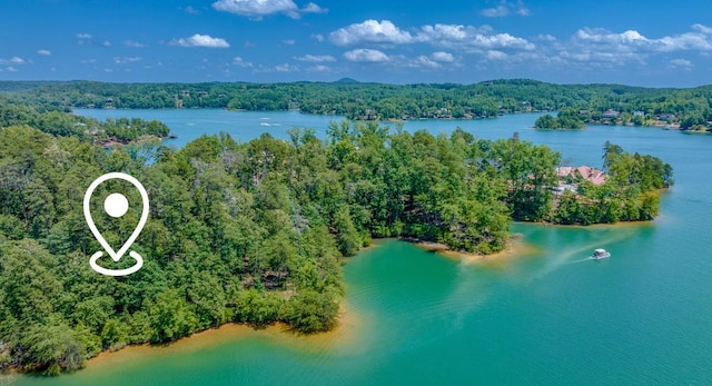 EWP23 S Edgewater Dr, Sunset, SC 29685 - photo 2