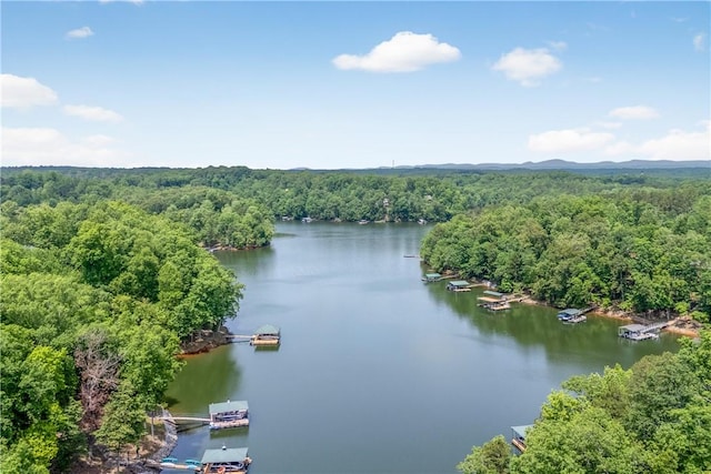 503 Greystoke Cv, Seneca, SC 29678 - bird's eye view of a heavily wooded area and a nearby body of water