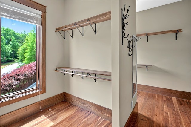 503 Greystoke Cv, Seneca, SC 29678 - spacious closet featuring wood finished floors