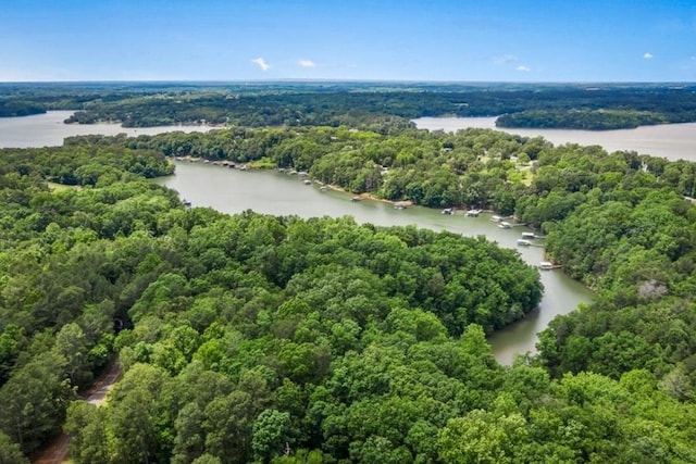 1004 Gaineswood Rd, Anderson, SC 29625 - drone / aerial view of a nearby body of water and a heavily wooded area