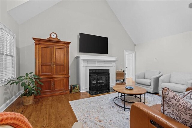 110 Red Maple Cir, Easley, SC 29642 - living area with high vaulted ceiling, wood finished floors, and a fireplace with flush hearth