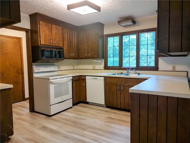 kitchen with white appliances, a sink, a textured ceiling, light wood-style floors, and light countertops
