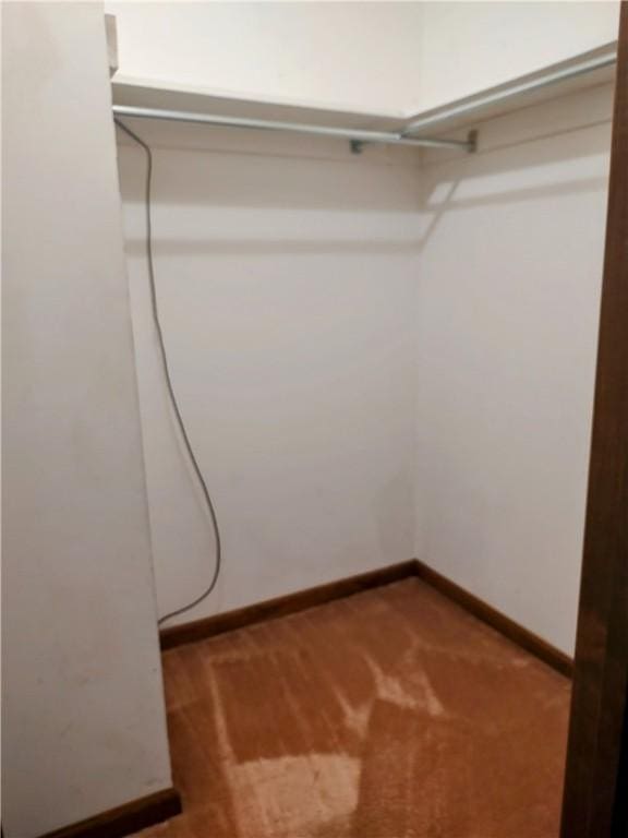 walk in closet with carpet flooring
