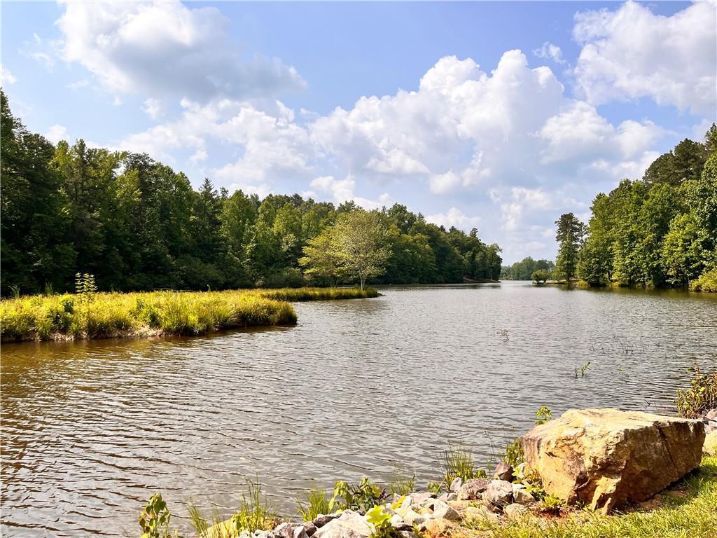 1B Watermelon Way, Tamassee, SC 29686